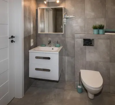 a bathroom with a toilet and a sink and a mirror at Relax apartments near Egle in Druskininkai