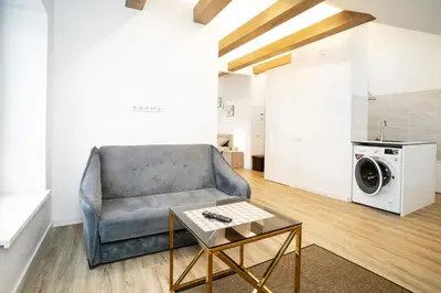 a living room with a couch and a washing machine at Kaunas Castle Apartments - Studio in Kaunas