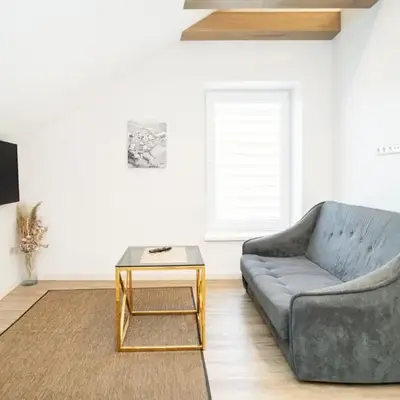 Kaunas Castle Apartments - Studio