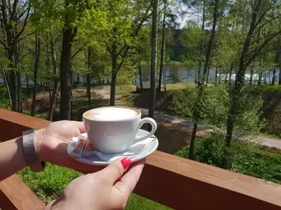 a person holding a cup of coffee in front of a window at Dzūkijos dvaro 