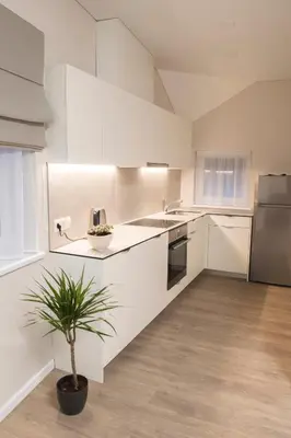 a kitchen with white cabinets and a potted plant at Green Hill Apartments in Kaunas