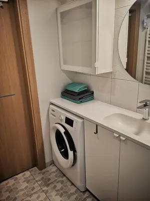 a bathroom with a washing machine and a sink at Botanical Garden Studio in Kaunas