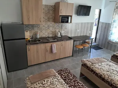a kitchen with a black refrigerator and a sink at ROOMS FOR RENT in Panevėžys