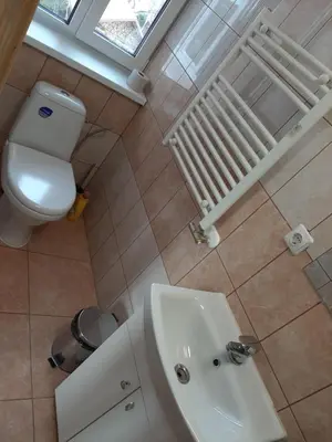 a bathroom with a toilet and a sink at ROOMS FOR RENT in Panevėžys