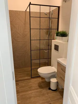 a bathroom with a toilet and a shower at River house apartments in Kaunas