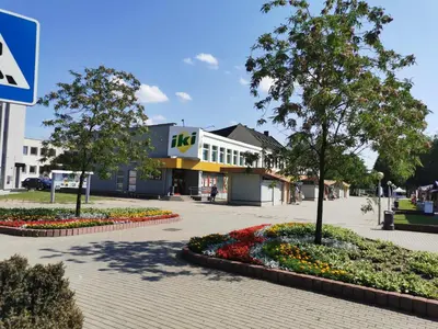 a street with flowers in front of a building at Central Apartments Nojus in Druskininkai