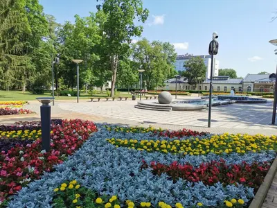a park with flowers and a statue in the background at Central Apartments Nojus in Druskininkai