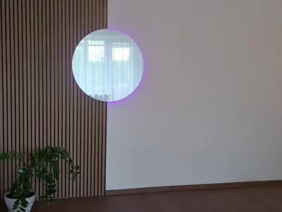 a room with a window and a potted plant at Trumpalaikė nuoma centre in Šiauliai