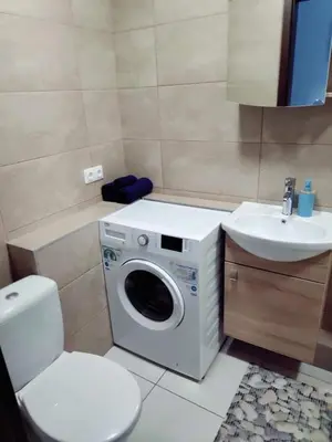 a bathroom with a washing machine and a sink at Trumpalaikė nuoma centre in Šiauliai