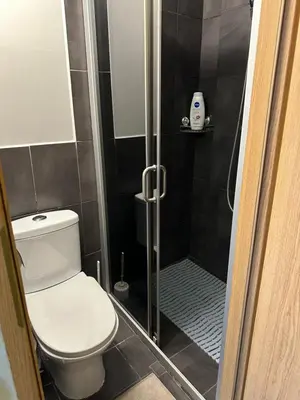 a small bathroom with a toilet and a shower at Gediminas apartment in Kaunas