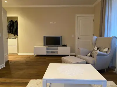 a living room with a tv and a couch at Studio flat in Kedainiai in Kėdainiai