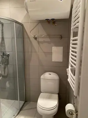a bathroom with a toilet and a shower at Studio flat in Kedainiai in Kėdainiai