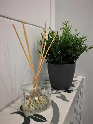 two potted plants in a glass vase on a table at COZY Nest apartment in Kaunas in Kaunas