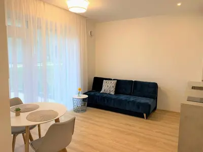 a living room with a black couch and a table at COZY Nest apartment in Kaunas in Kaunas