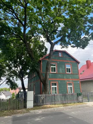 a green house with a tree next to a fence at 