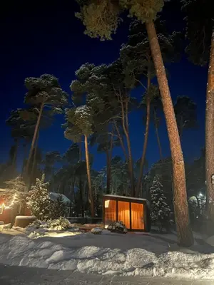a house in the snow at night with palm trees at Walnut House in Kulautuva