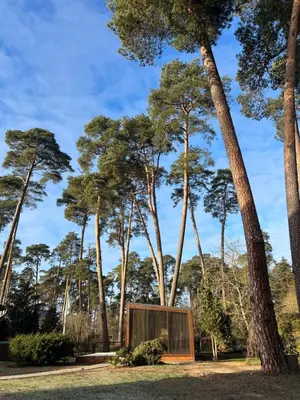 a house in a forest with trees in the background at Walnut House in Kulautuva