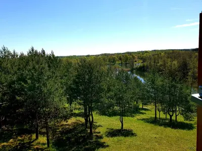 a view of a field with trees and a river at Sodyba Vilagio in Alanta