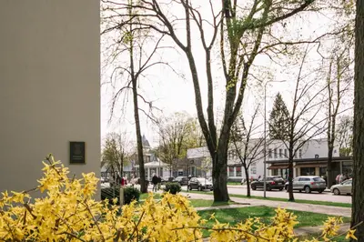 a view of a street with trees and a building at DaGys apartments in Druskininkai