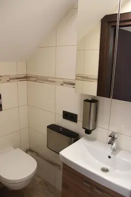 a bathroom with a toilet and a sink at Vila Romnesa in Ignalina