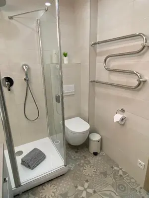 a bathroom with a toilet and a glass shower at DanGinta in Druskininkai
