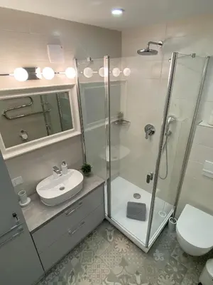a bathroom with a shower and a sink and a toilet at DanGinta in Druskininkai