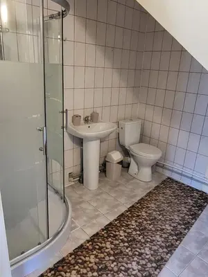 a bathroom with a toilet and a sink and a shower at Sodyba - Antalieptės marios in Zarasai