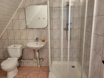 a bathroom with a toilet and a sink and a shower at Sodyba - Antalieptės marios in Zarasai