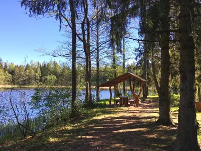 a picnic shelter next to a lake with trees at Inkilas in Sidabrinės