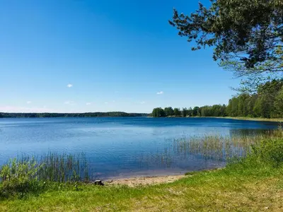 a view of a large lake with trees in the background at Inkilas in Sidabrinės