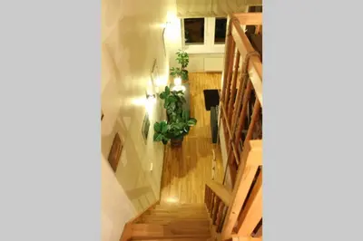 a stairway with a potted plant in a room at Penthouse Apartment with Great Panoramic City View in Vilnius