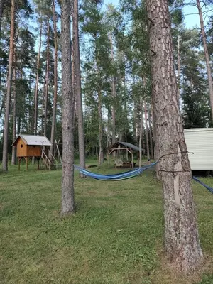 a hammock hanging between two trees in a forest at NeriPaulis in Ažvinčiai