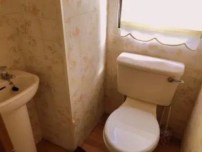 a bathroom with a white toilet and a sink at NeriPaulis in Ažvinčiai