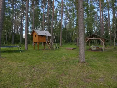 a tree house and a bench in a forest at NeriPaulis in Ažvinčiai