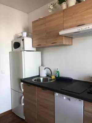 a kitchen with a sink and a white refrigerator at Ozas Apartment 1 and 2 in Vilnius