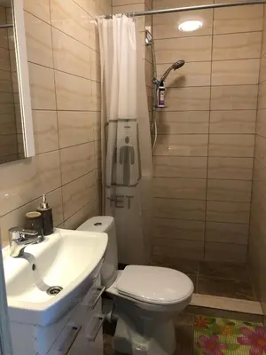 a bathroom with a toilet and a sink and a shower at Ozas Apartment 1 and 2 in Vilnius
