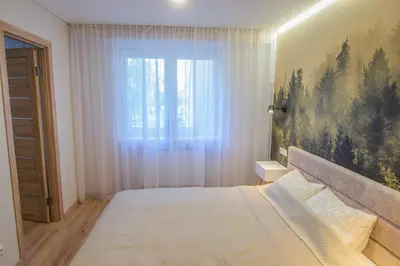 a bedroom with a large bed and a window at Central and Relaxing apartment in Druskininkai