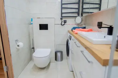 a small bathroom with a toilet and a sink at Central and Relaxing apartment in Druskininkai
