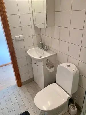 a bathroom with a toilet and a sink at Centro Apartamentai in Zarasai