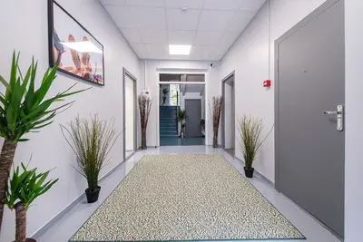a hallway with potted plants and a door at The house Vilnius in Vilnius