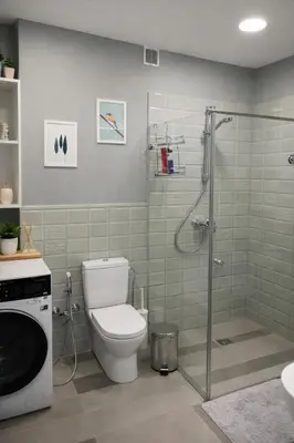 a bathroom with a shower with a toilet and a sink at Centro apartamentai in Birštonas