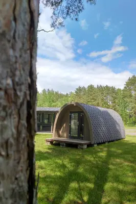 a tent in a field with a tree at Natur Camp Birštonas in Birštonas