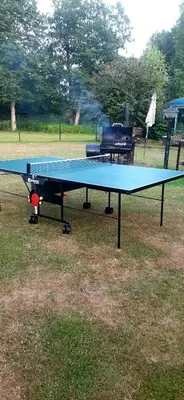 a ping pong table in a field with a ping pong ball at Viešnagė pas Valentiną in Sužionys