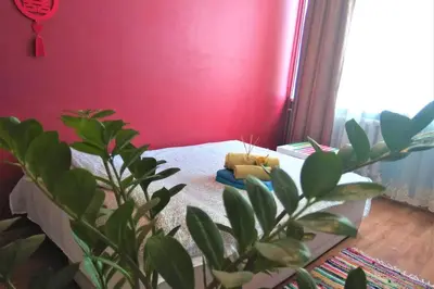 a bedroom with a red wall and a bed with a plant at Slucko Central Studio Apartment near River in Vilnius
