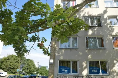 a white building with trees in front of it at Slucko Central Studio Apartment near River in Vilnius