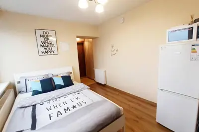 a bedroom with a bed and a refrigerator at 9th floor Amazing View Central Studio Apartment in Vilnius