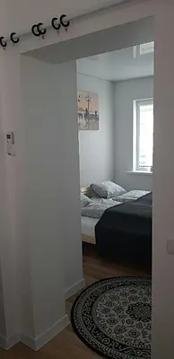 a bedroom with a bed and a window and a rug at Butas Senamiestyje Vytauto 7-4 in Rokiškis