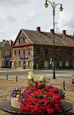 a display of flowers in front of a building at Butas Senamiestyje Vytauto 7-4 in Rokiškis