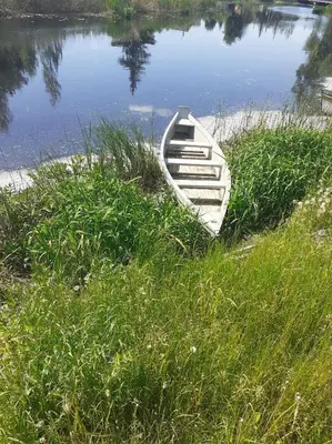 a boat sitting on the shore of a lake at VĖJO16 in Biržai