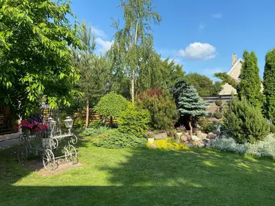 a garden with a bench in the grass at Cosy and peaceful apartment in Kaunas